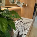 столешница из гранита Delicatus