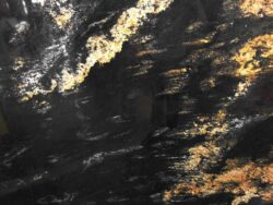 Гранит Preto Lotus